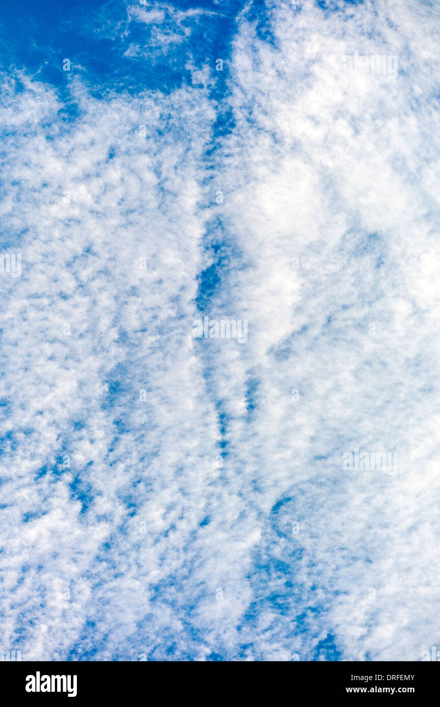 Weiße Wolkenfetzen gegen einen azurblauen Himmel Colorado Stockfoto
