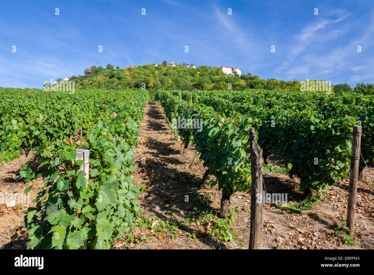 Château-Chalon Franche-Comte Frankreich Stockfoto