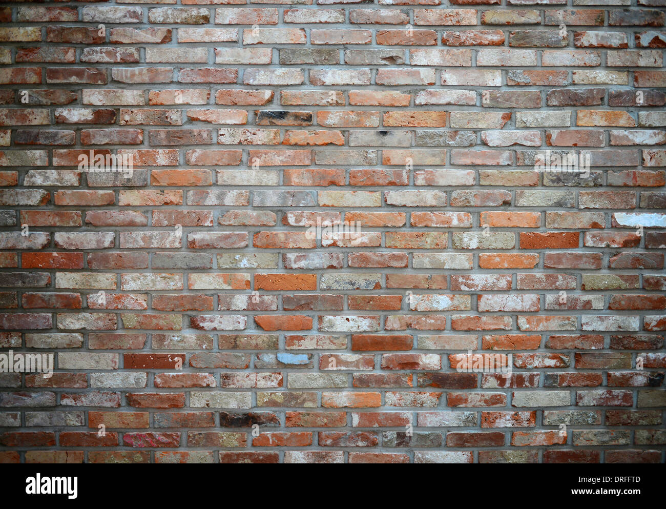 Ziegelmauer Stockfoto