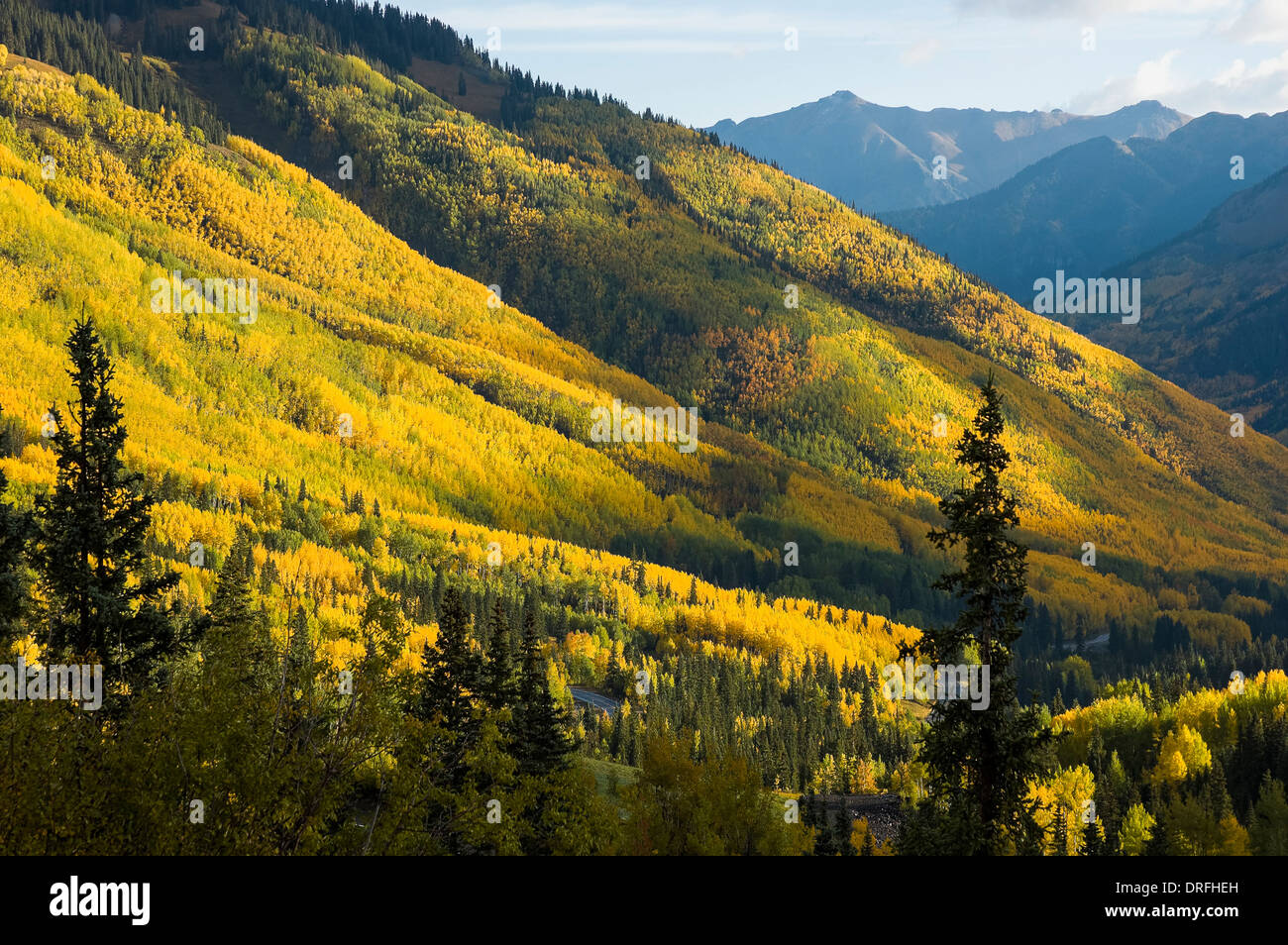 Herbstfarbe entlang US 550 südlich von Ouray, Million Dollar Highway, San Juan Skyway Scenic Byway, Colorado. Stockfoto