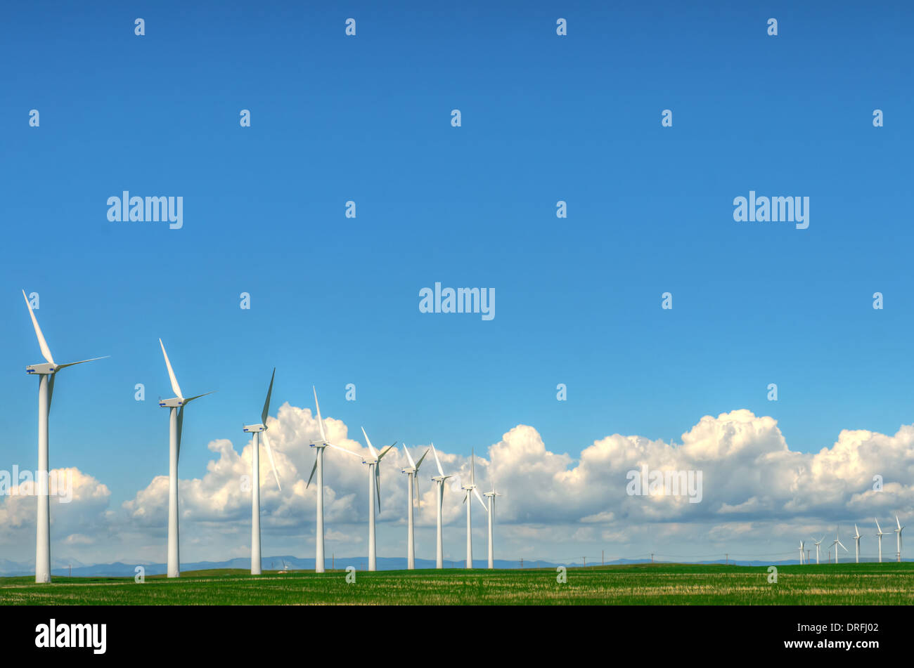Windpark in den malerischen Wiesen, Alberta, Kanada Stockfoto