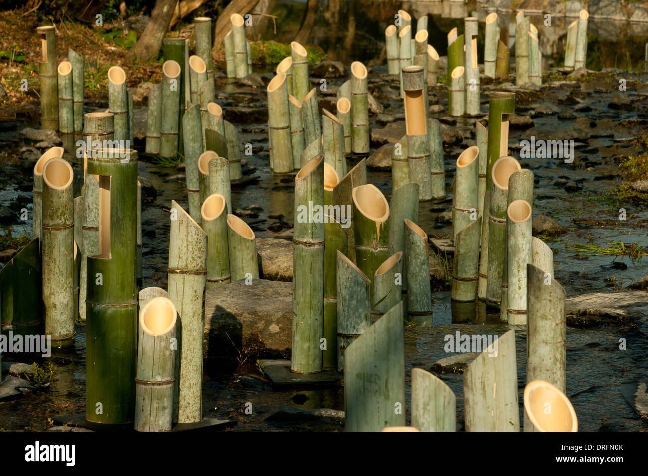Bambus-Fluss Stockfoto