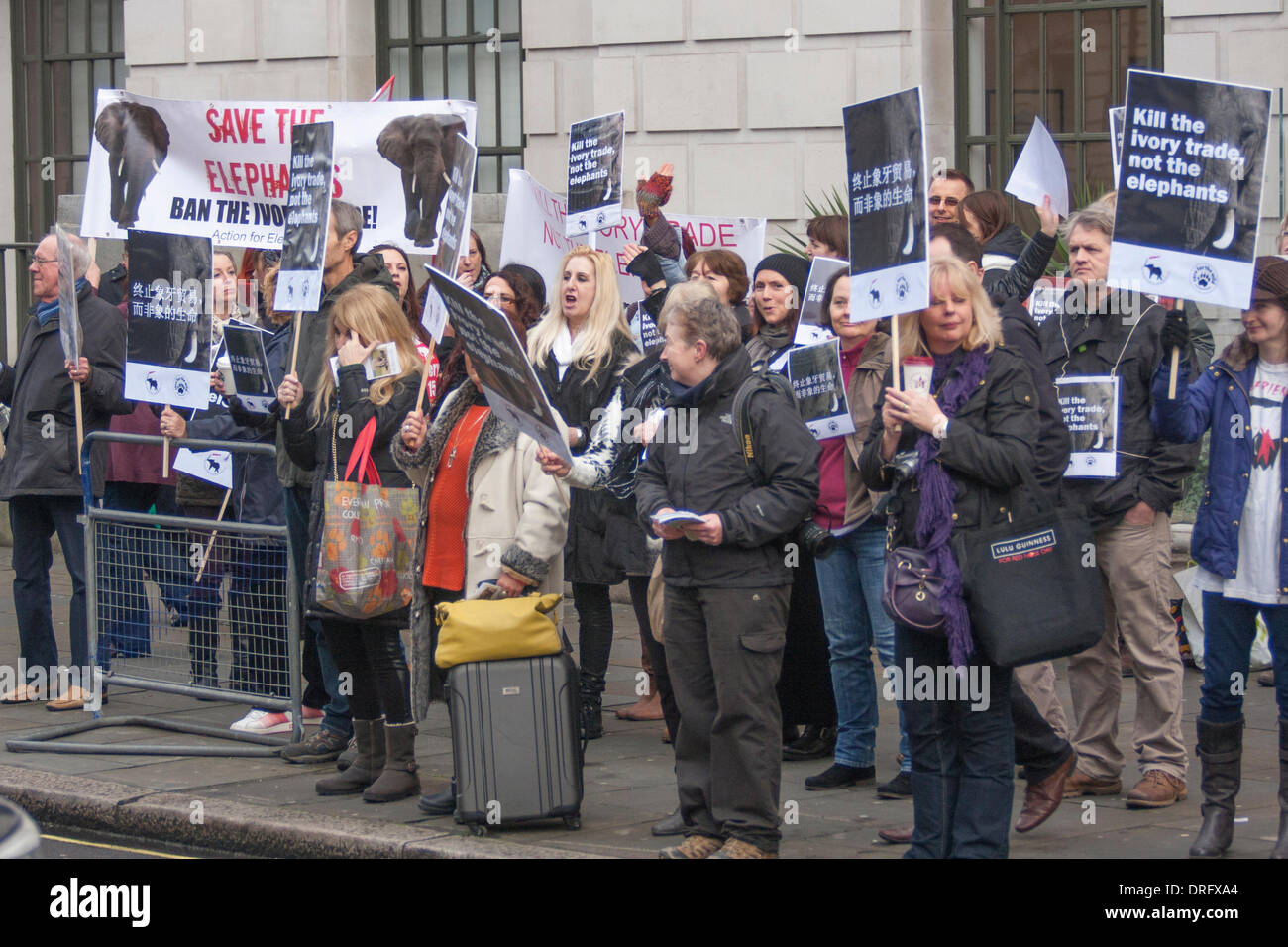 London, UK. 25. Januar 2014. Dutzende der Tierschützer demonstrieren vor der chinesischen Botschaft in London gegen des Landes die Nachfrage nach Elfenbein, die Elefanten gefährdet ist. Bildnachweis: Paul Davey/Alamy Live-Nachrichten Stockfoto