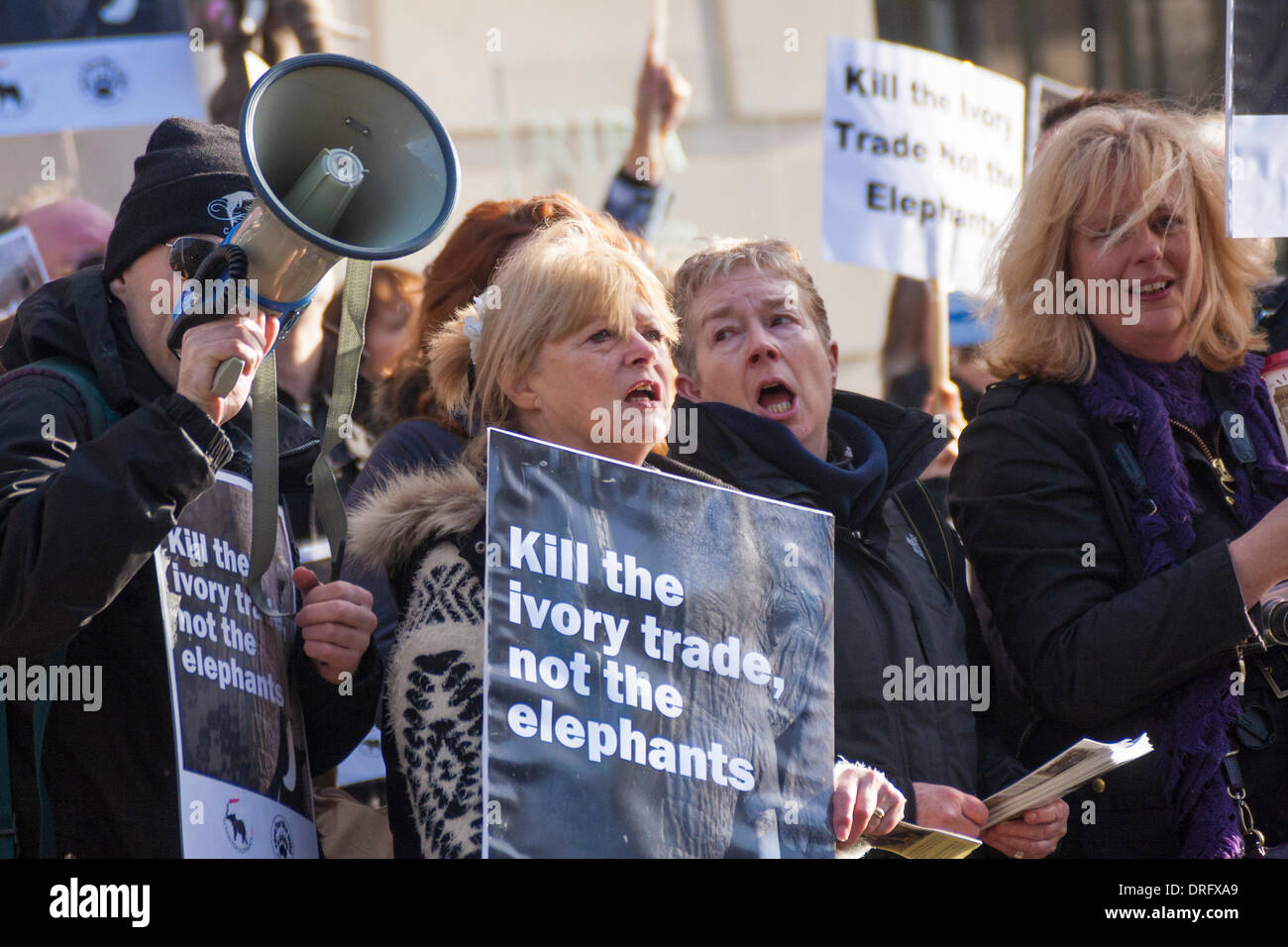 London, UK. 25. Januar 2014. Dutzende der Tierschützer demonstrieren vor der chinesischen Botschaft in London gegen des Landes die Nachfrage nach Elfenbein, die Elefanten gefährdet ist. Bildnachweis: Paul Davey/Alamy Live-Nachrichten Stockfoto