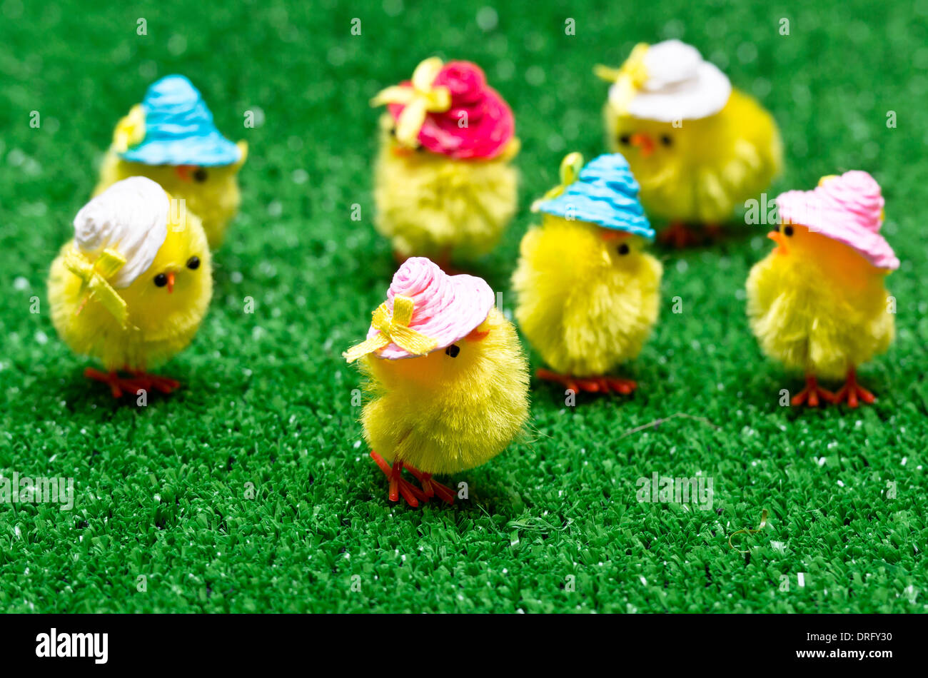Mini-Ostern Küken auf grünem Hintergrund Stockfoto