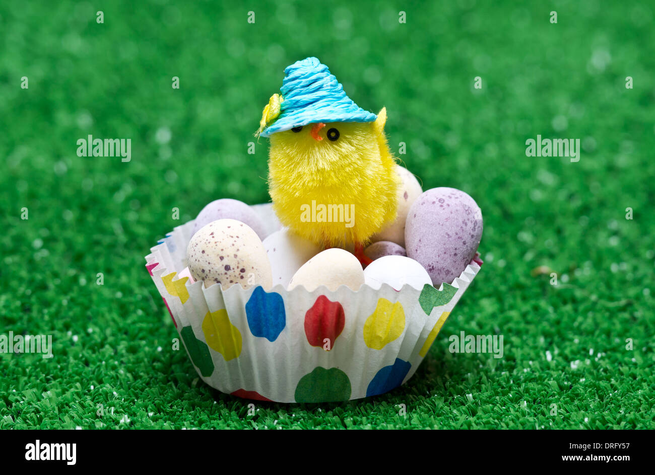 Mini-Ostern Küken mit Mini Schokoladeneier Stockfoto