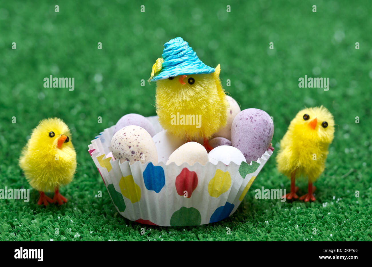 Mini-Ostern Küken mit Mini Schokoladeneier Stockfoto