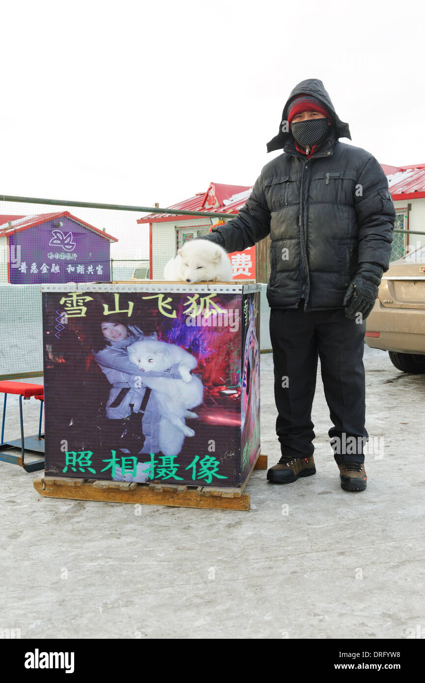Der Mensch und seine Polarfuchs warten auf Kundschaft für eine niedliche Foto-Shooting. Harbin, China Stockfoto