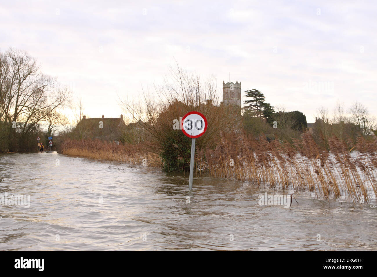 Muchelney, Somerset, UK. Hochwasser Januar 2014.  Muchelney das abgeschiedene Dorf auf der überfluteten Somerset Ebene südlich von Langport. Das Dorf weiterhin abgeschnitten werden Stockfoto