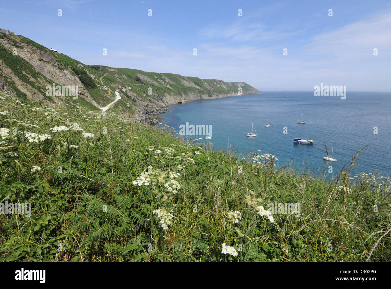 Landing-Bucht und Ost Seite, Lundy, Devon Stockfoto