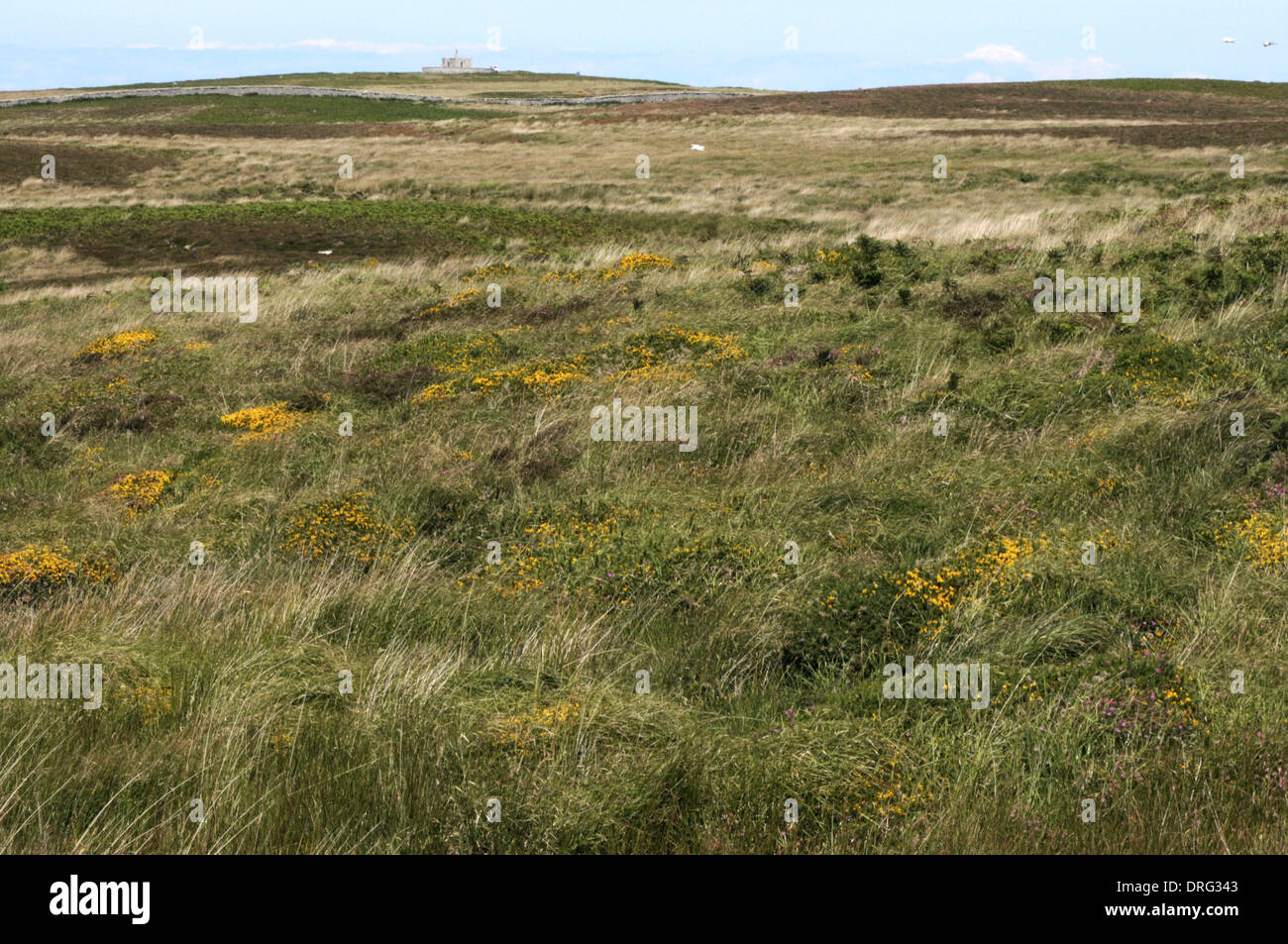 Lundy, Devon, mit Tibbett im Hintergrund Stockfoto