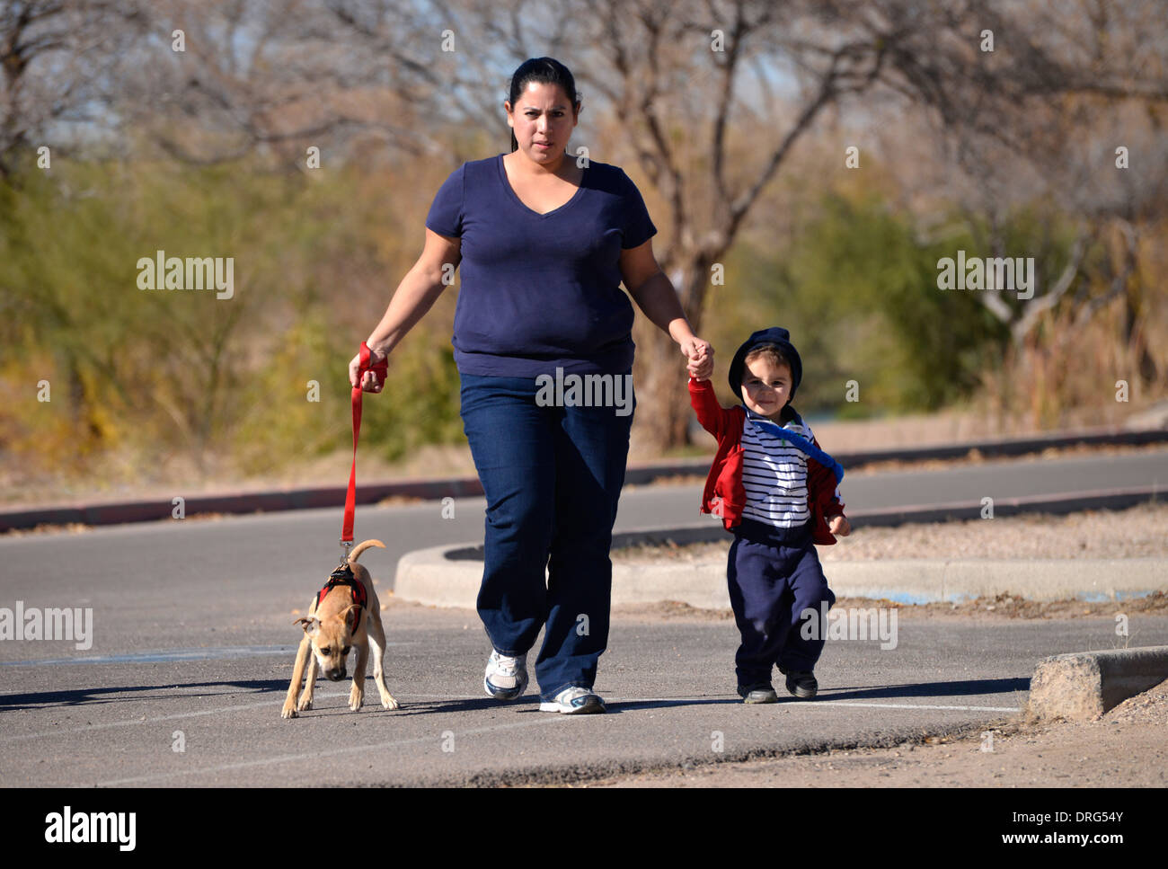 Eine Frau und ihr Sohn 2 Einjahres spazieren ihren Hund in einem Park. Stockfoto