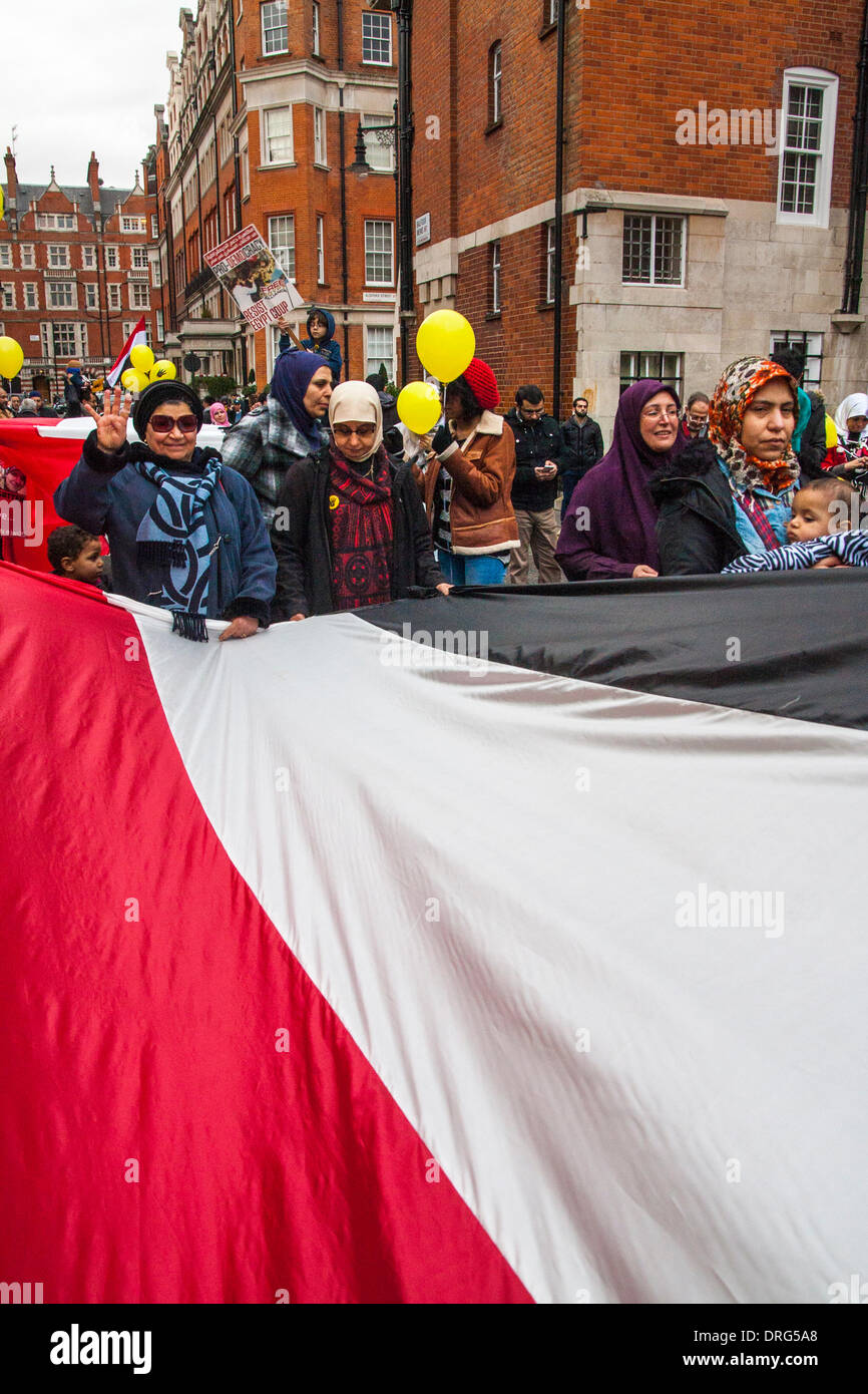 London, UK. 25. Januar 2014. Frauen halten ein riesiges ägyptische Flagge als Ägypter in London drei Jahre seit der Revolution markieren, die das Mubarak-Regime gestürzt. Bildnachweis: Paul Davey/Alamy Live-Nachrichten Stockfoto