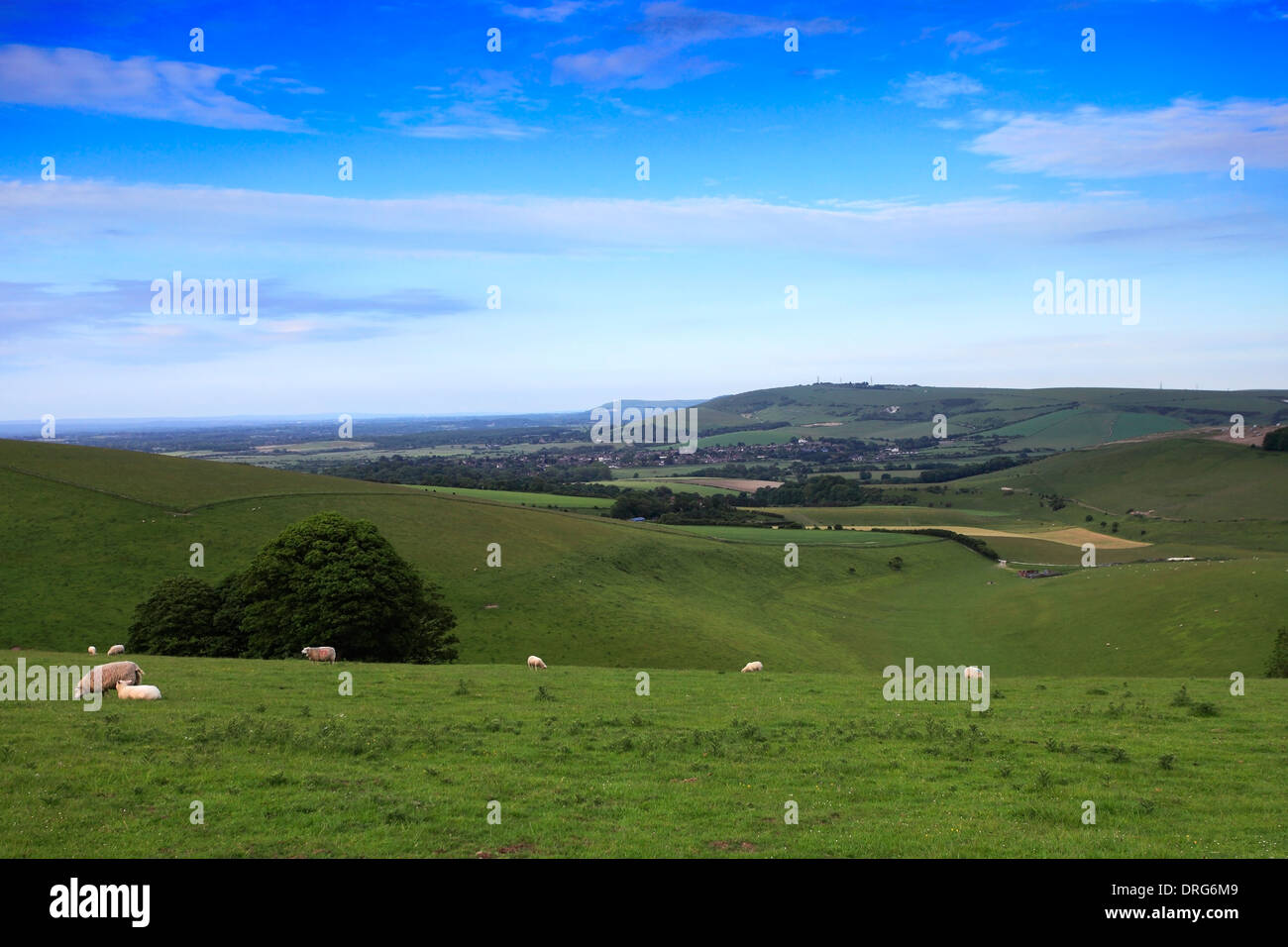 Sommerlandschaft über steile Down South Downs National Park, Sussex County, England, UK Stockfoto