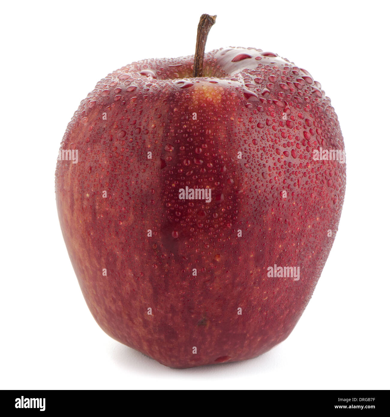 Roter Apfel isoliert auf weißem Hintergrund. Stockfoto