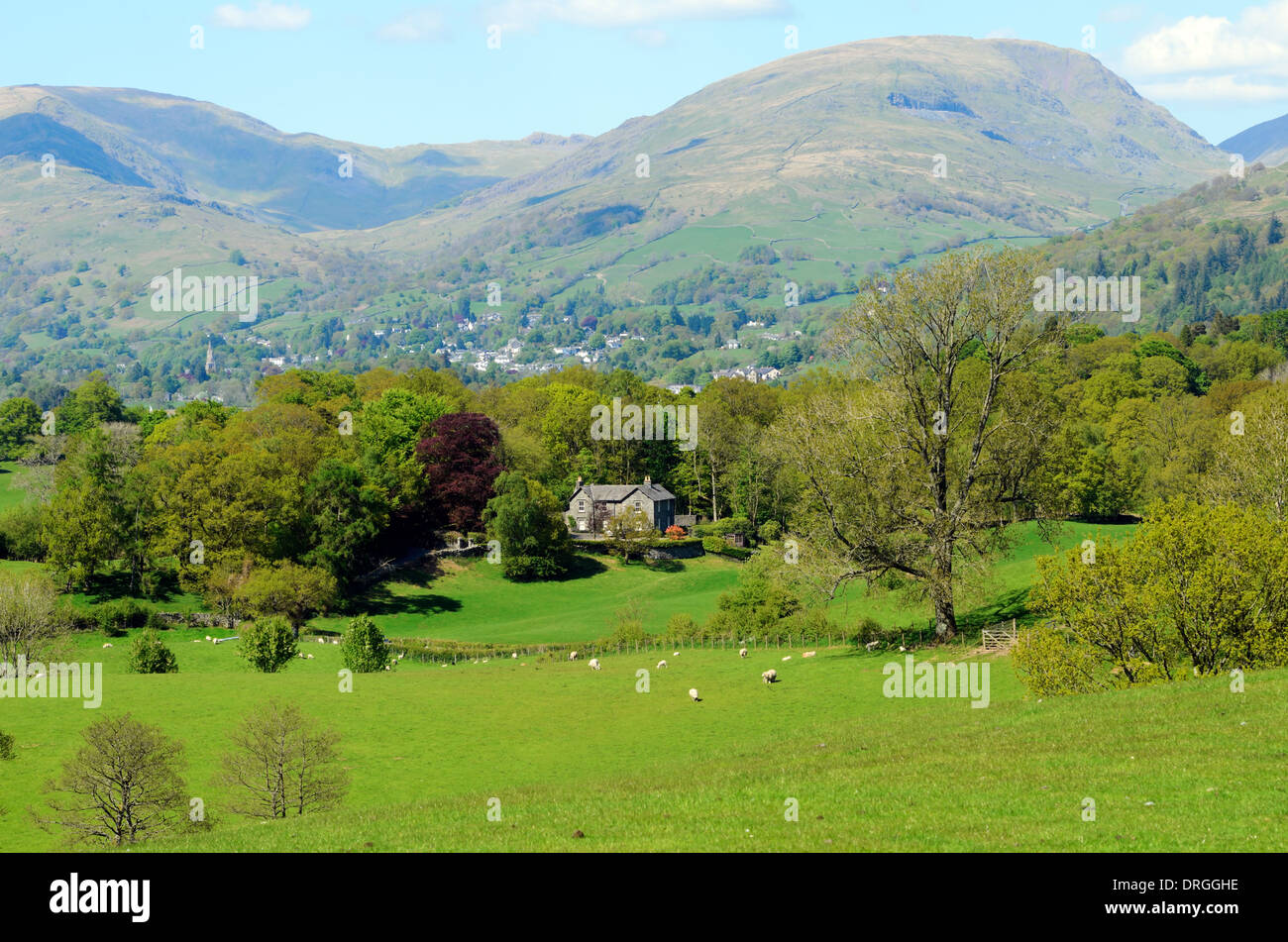 Ansicht von Ambleside und Hart Crag von hohen Wray in der Nähe von Lake Windermere im Lake District National Park Stockfoto