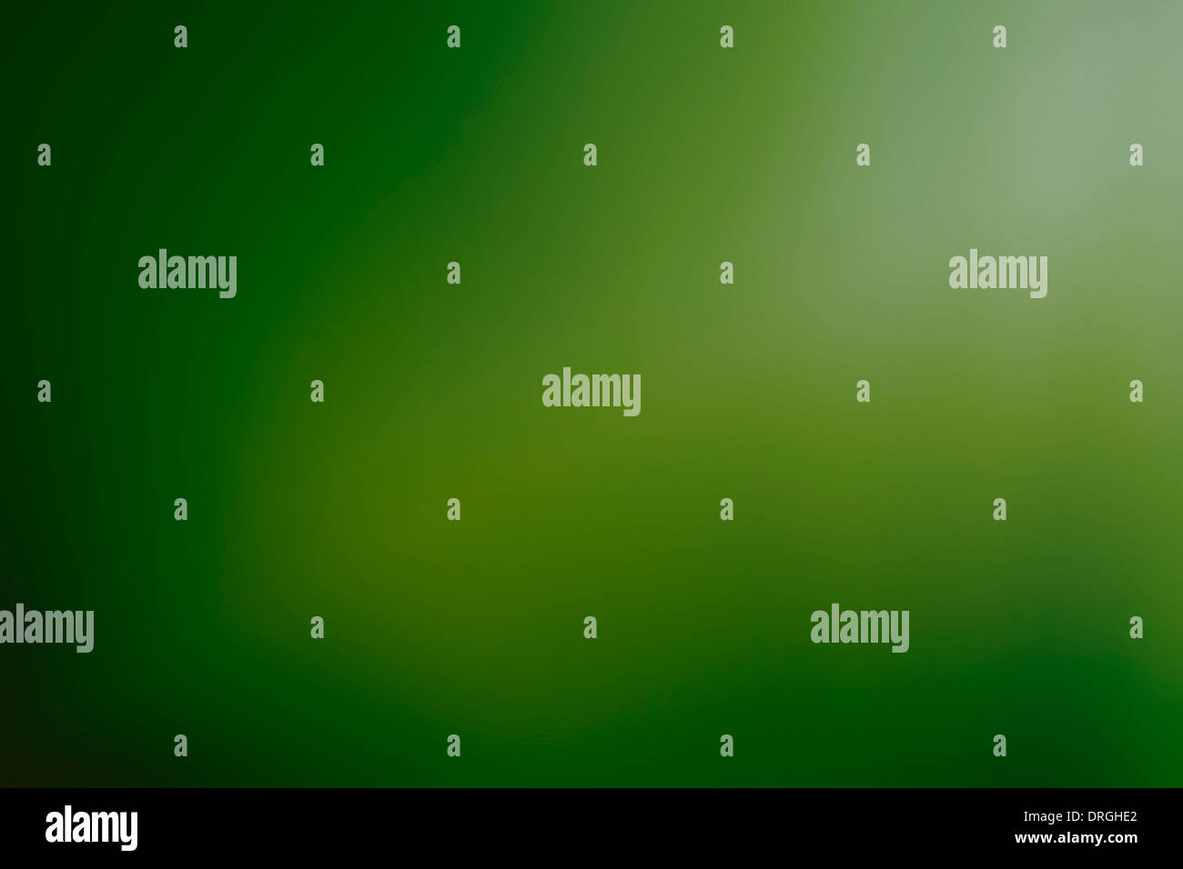 Weiche grüne Hintergrund, erstellt aus einem Palmblatt Stockfoto