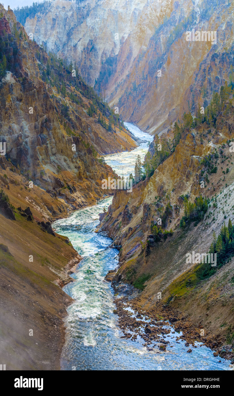 Der Grand Canyon des Yellowstone Nationalpark, Wyoming Stockfoto