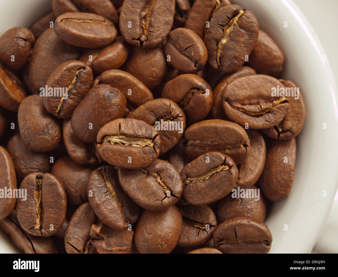 frische Arabica-Kaffeebohnen in Espressotasse / close-up Stockfoto