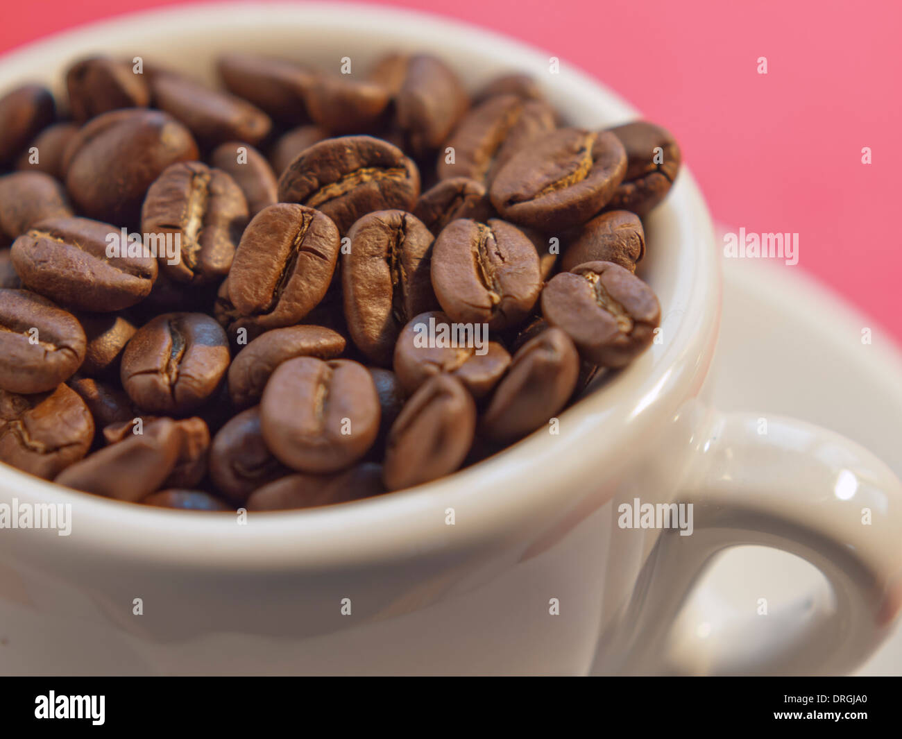 frische Arabica-Kaffeebohnen in Espressotasse / close-up Stockfoto