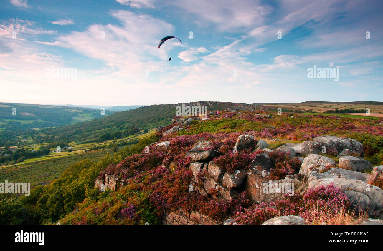 Gleitschirm über ein Heidekraut bewachsenen Curbar Kante, in die Dunkelheit Peakfläche der Peak District National Park, Derbyshire, UK Stockfoto