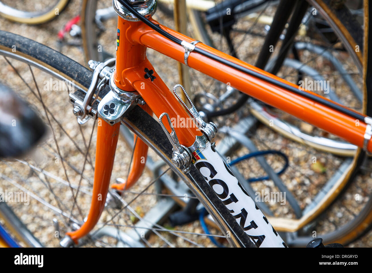 Colnago Rennrad bei Goodwood Revival 2013, West Sussex, UK Stockfoto