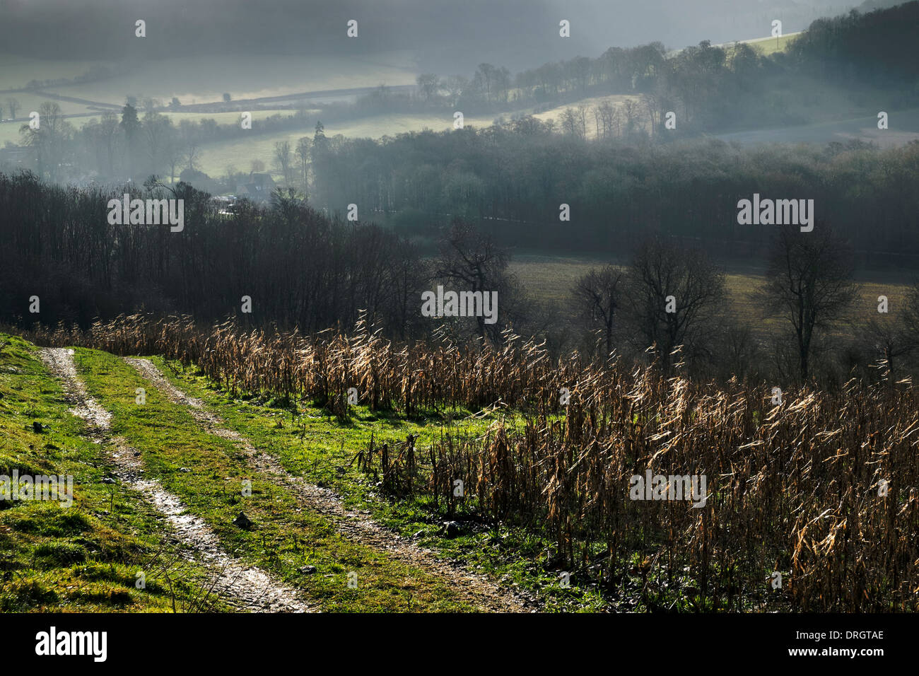 Einen stimmungsvollen Blick auf Hambleden Tal in Chilterns Landschaft, Bucks, UK. Stockfoto