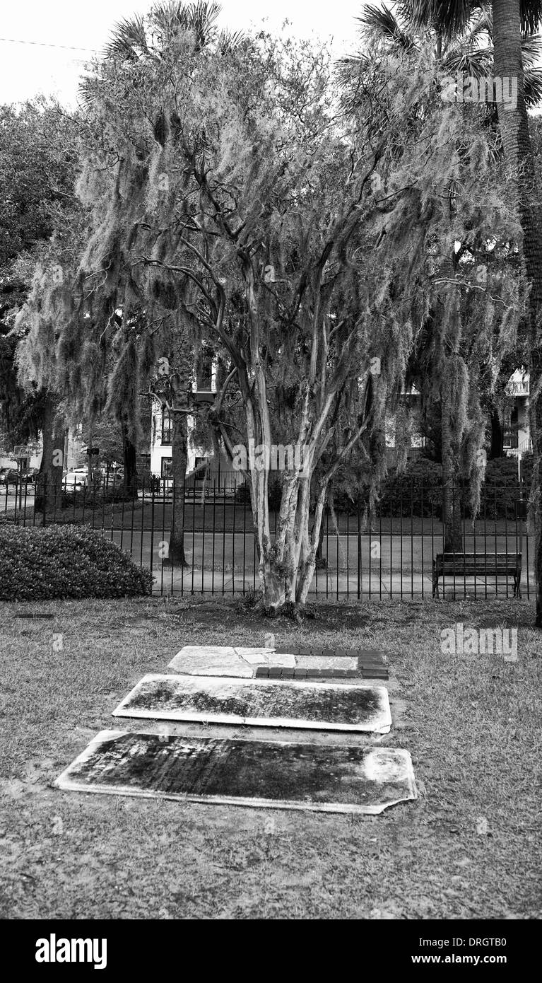 Einer der vielen Savannah Friedhöfe aus Hunderten von Jahren. Savannah, Georgia Stockfoto