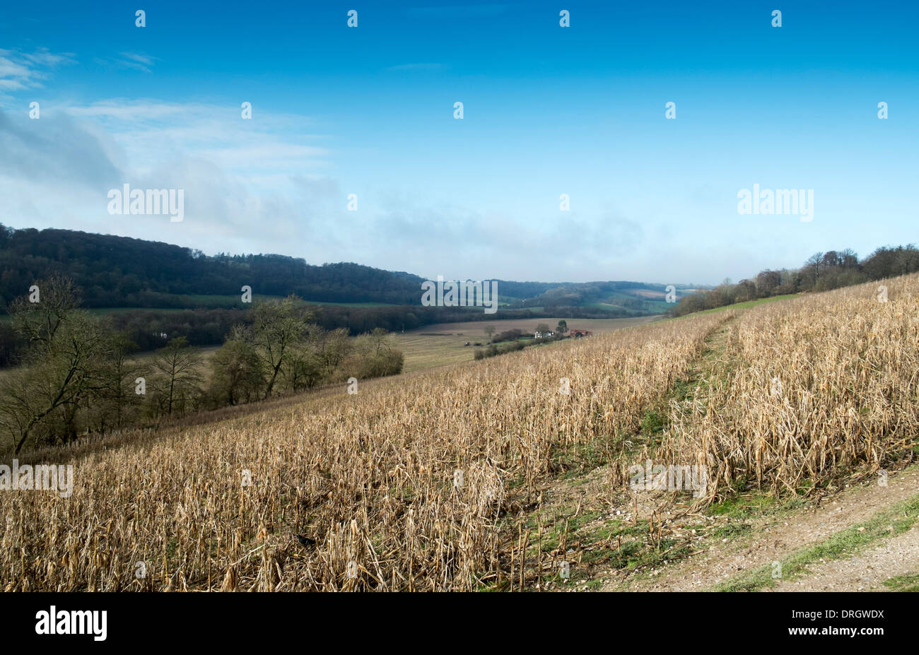 Hambleden Valley in Chilterns Landschaft, Bucks, UK. Stockfoto