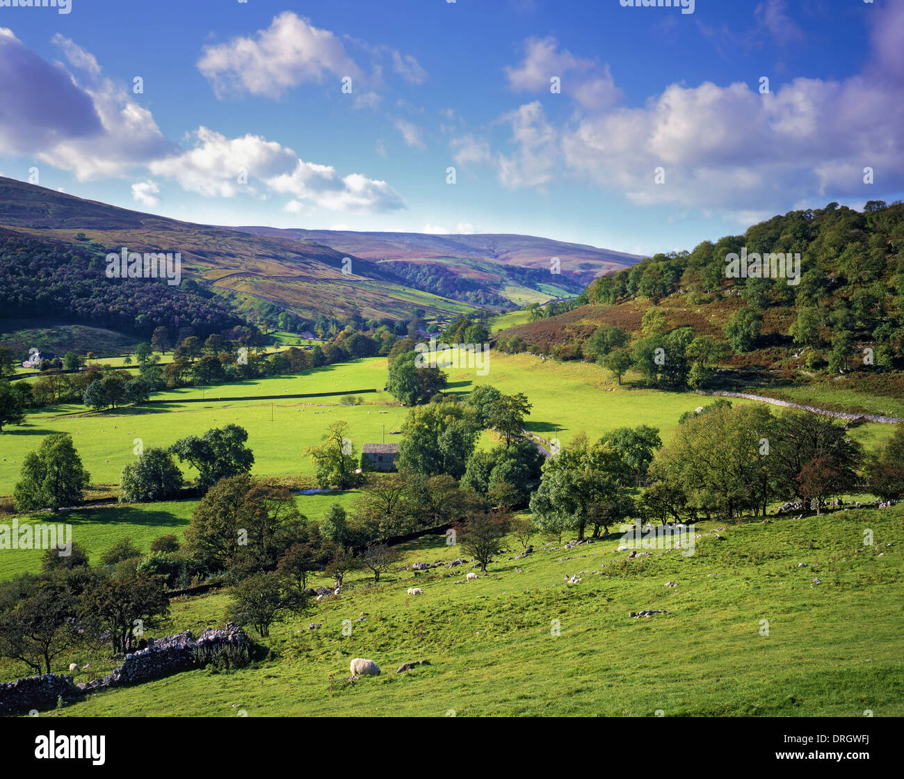 Einen Blick auf Langstrothdale-Tal in den Yorkshire Dales, UK Stockfoto