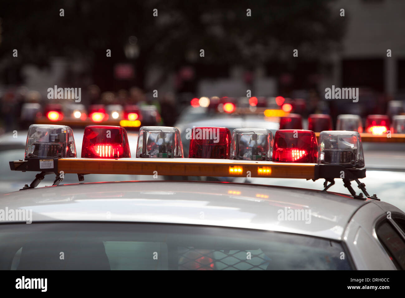 New York City Polizei-Autos. Stockfoto