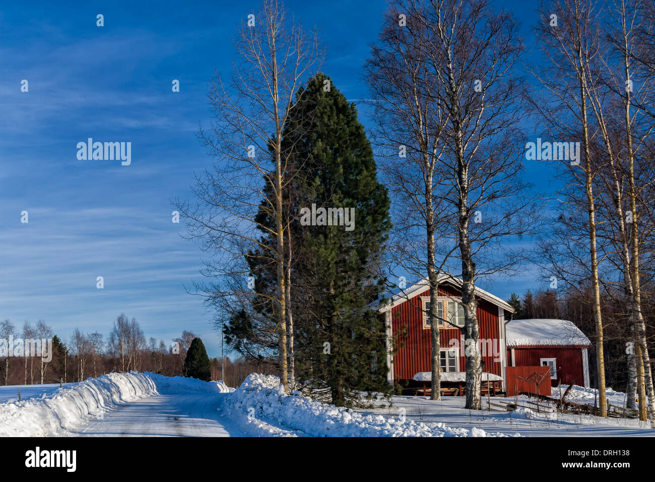Typisch schwedische Ferienhaus in der Nähe von Umeå. Västerbotten Region, nördlichen Schweden Stockfoto