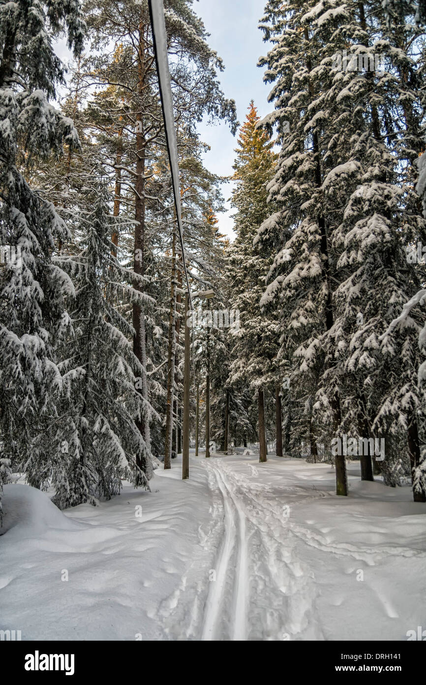 Verschneiten Waldweg, Umea, Schweden Stockfoto