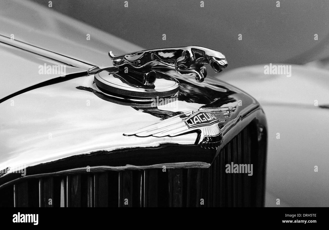 Jaguar Motorhaube und ikonischen springenden Katze Maskottchen. Stockfoto
