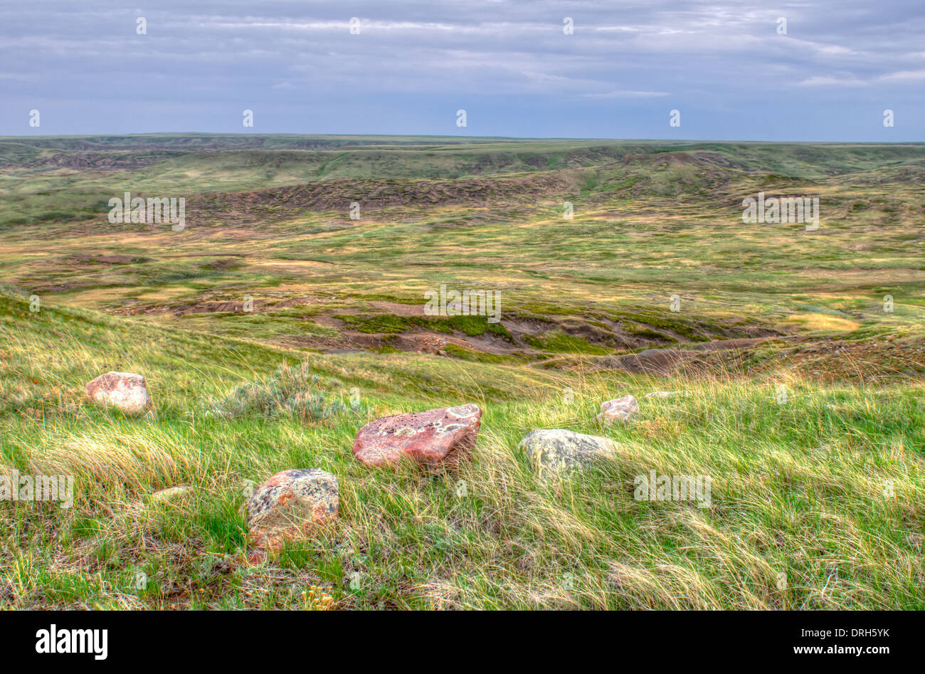 Grasslands National Park Saskatchewan Kanada Stockfoto