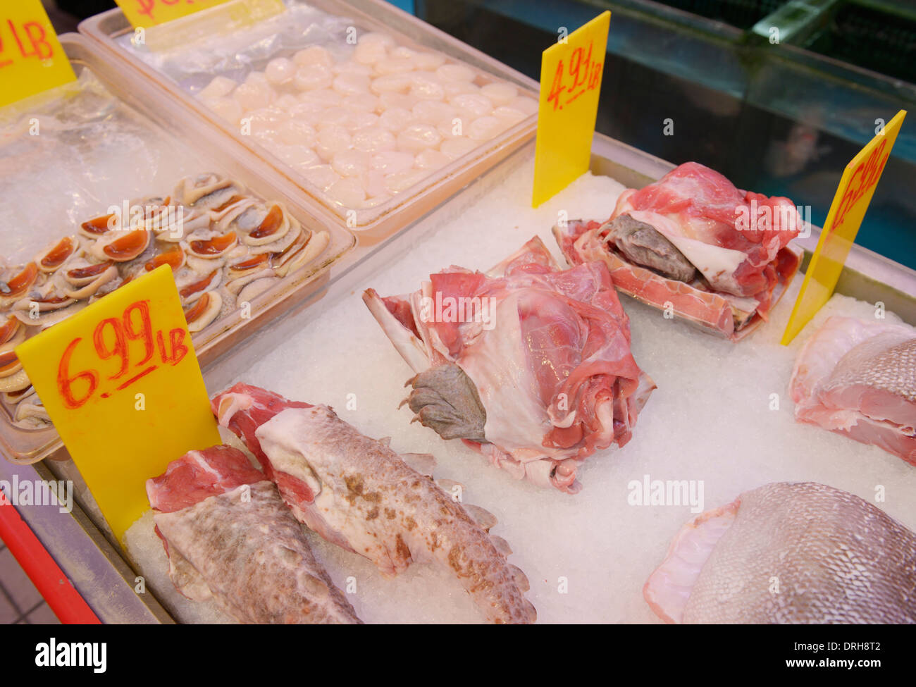 Chinatown-Fischmarkt, NYC mit Schildkrötenfleisch zum Verkauf Stockfoto