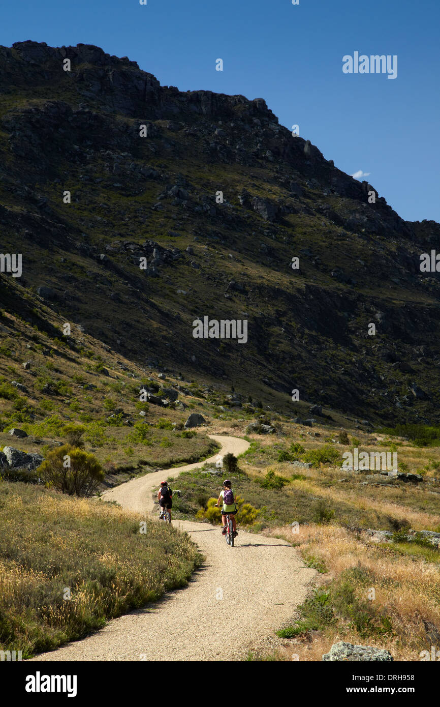 Mountainbiker auf Roxburgh Schlucht Rad- und Wanderweg, Central Otago, Südinsel, Neuseeland Stockfoto