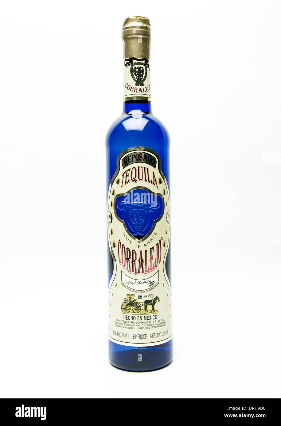 baldur garten blauregen Blauregen 'Aunt Dee' kaufen main image 1