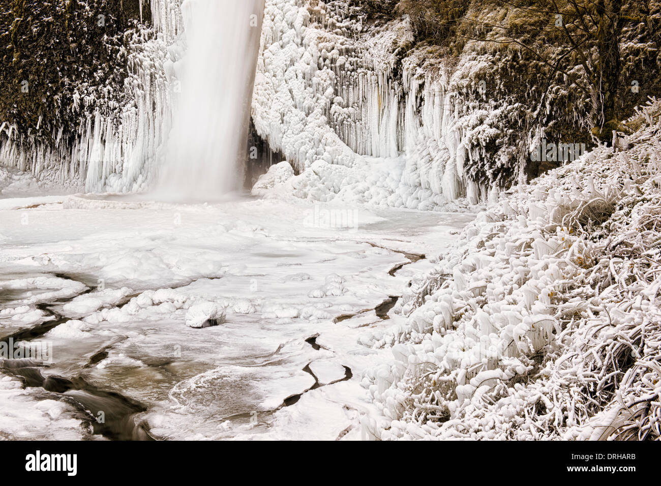 Kalte Bedingungen schaffen diese spektakulären Winter Eisgebilde an der Basis der Schachtelhalm fällt in Oregon die Columbia River Gorge Stockfoto