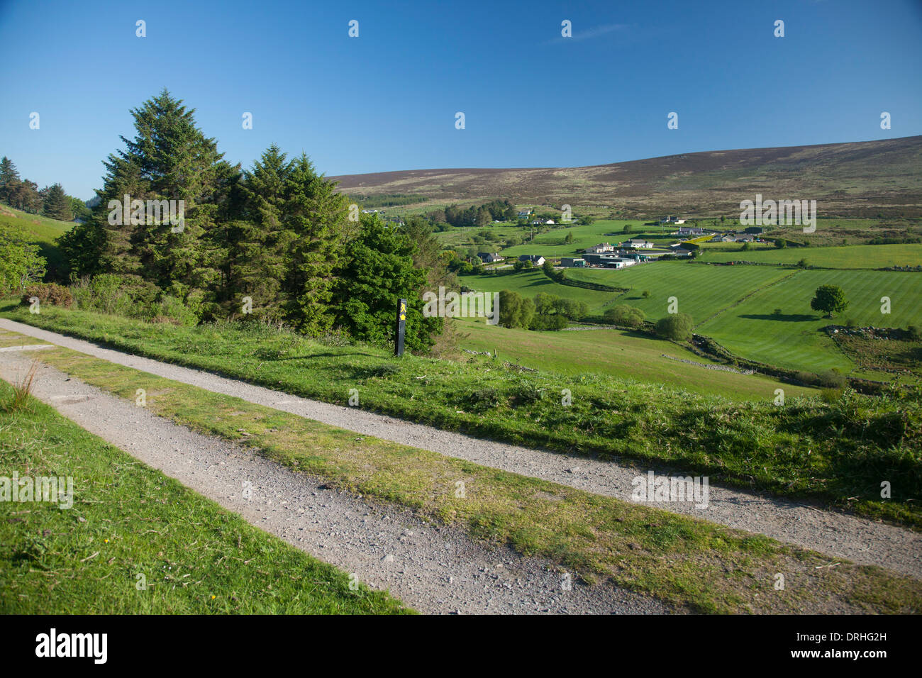 Die Wicklow Way Wanderweg in das Tal des Glencullen, Dublin Mountains, County Dublin, Irland. Stockfoto