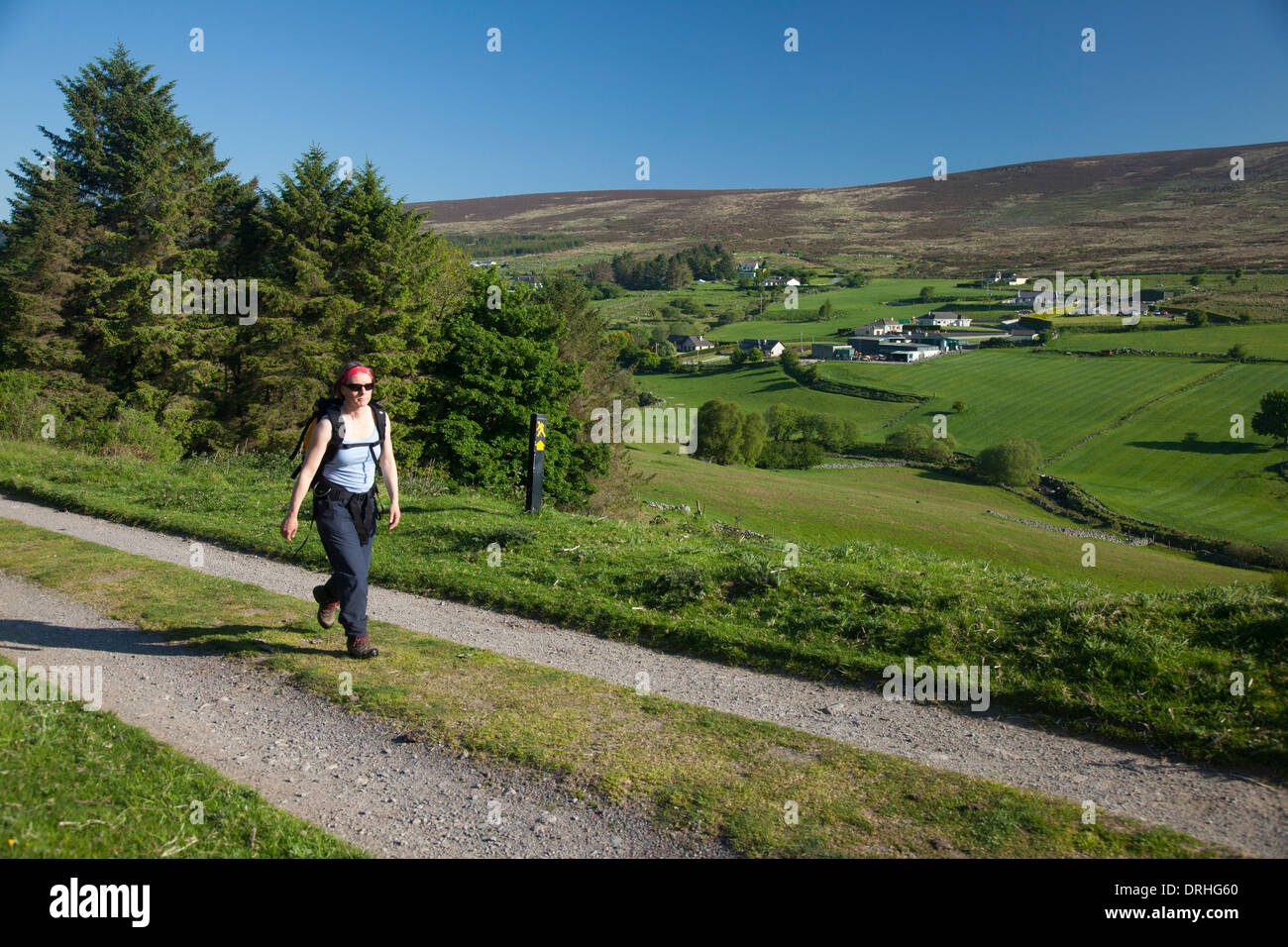 Walker auf den Wicklow Way in der Tal Glencullen, Dublin Mountains, County Dublin, Irland. Stockfoto