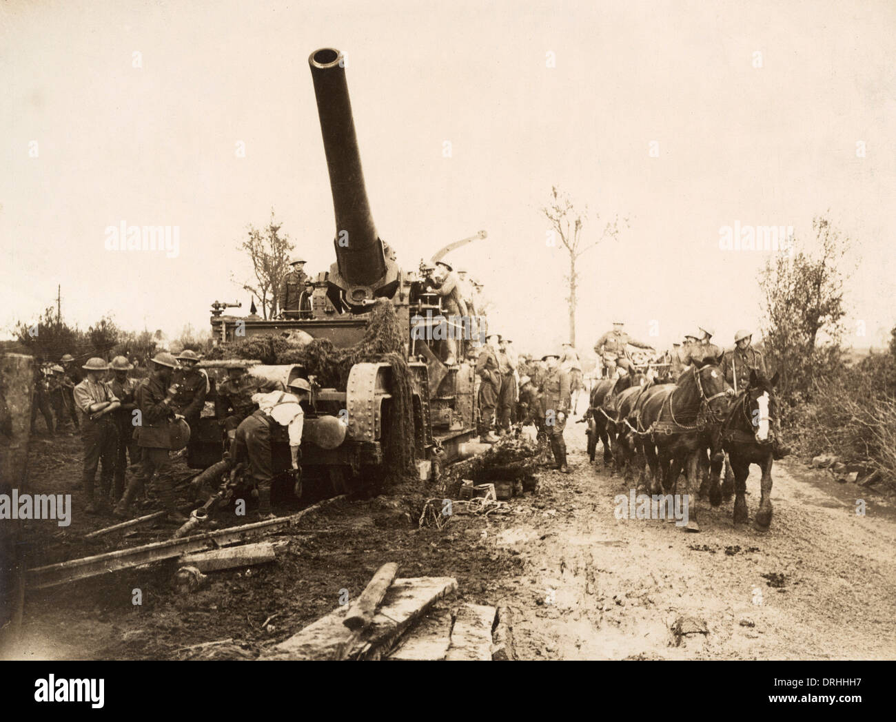 Kanone und Pferde in der Nähe von Ypern, Westfront, WW1 Stockfoto