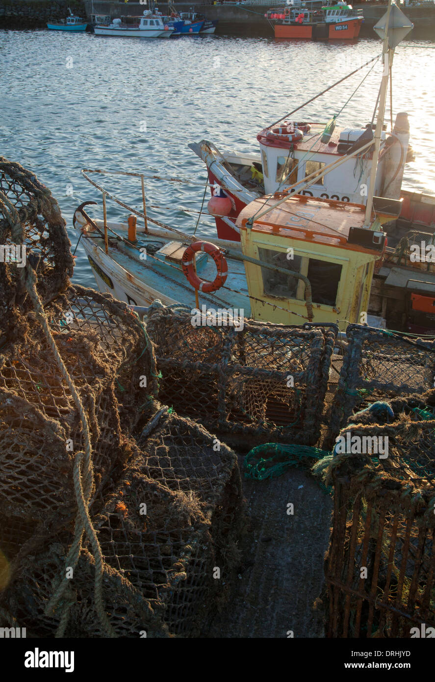 Angelboote/Fischerboote und Hummer Töpfe im Hafen von Howth, County Dublin, Irland. Stockfoto