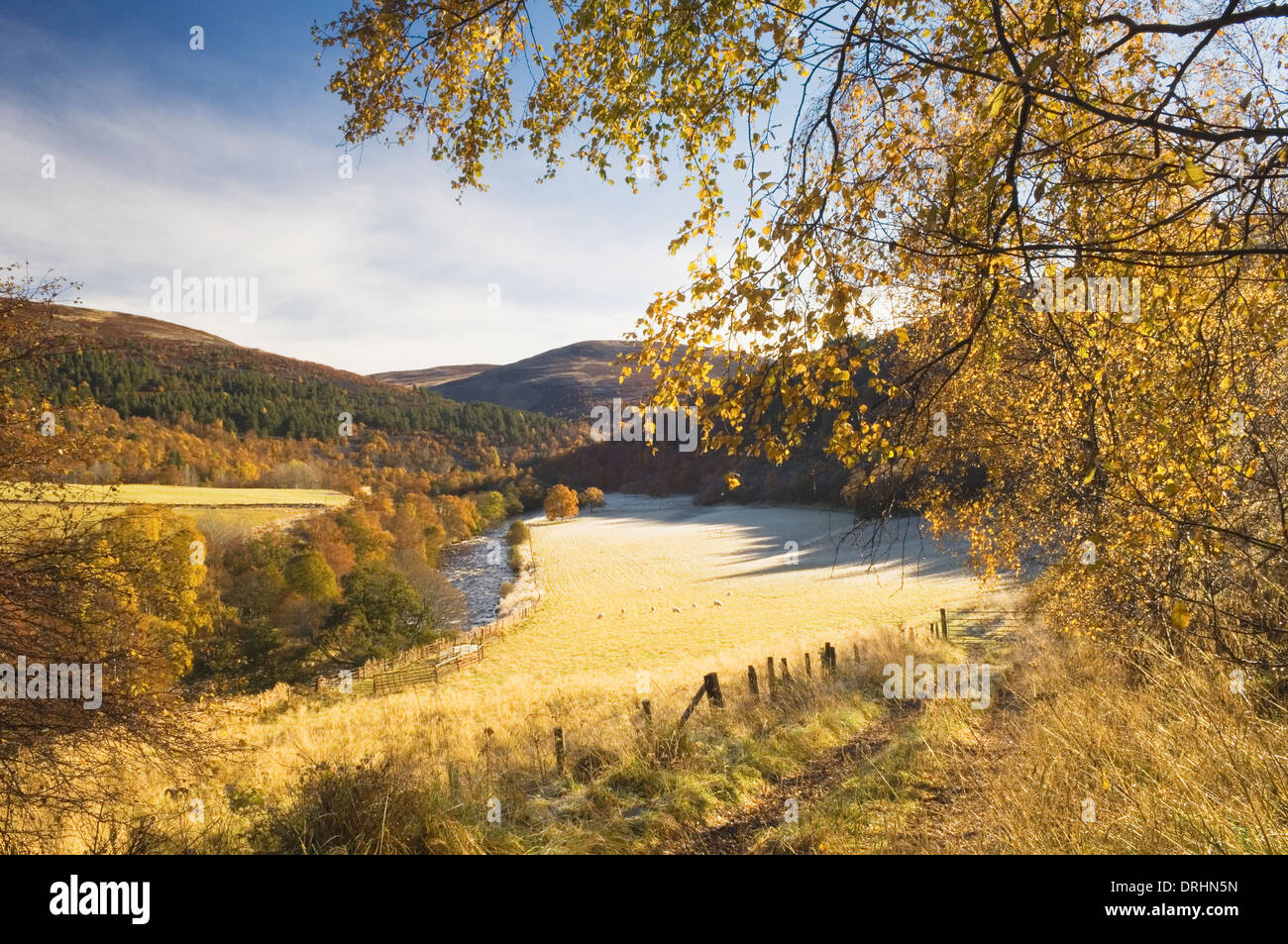 Glen Gairn an einem frostigen Herbstmorgen, in der Nähe von Ballater, Deeside, Aberdeenshire, Schottland. Stockfoto