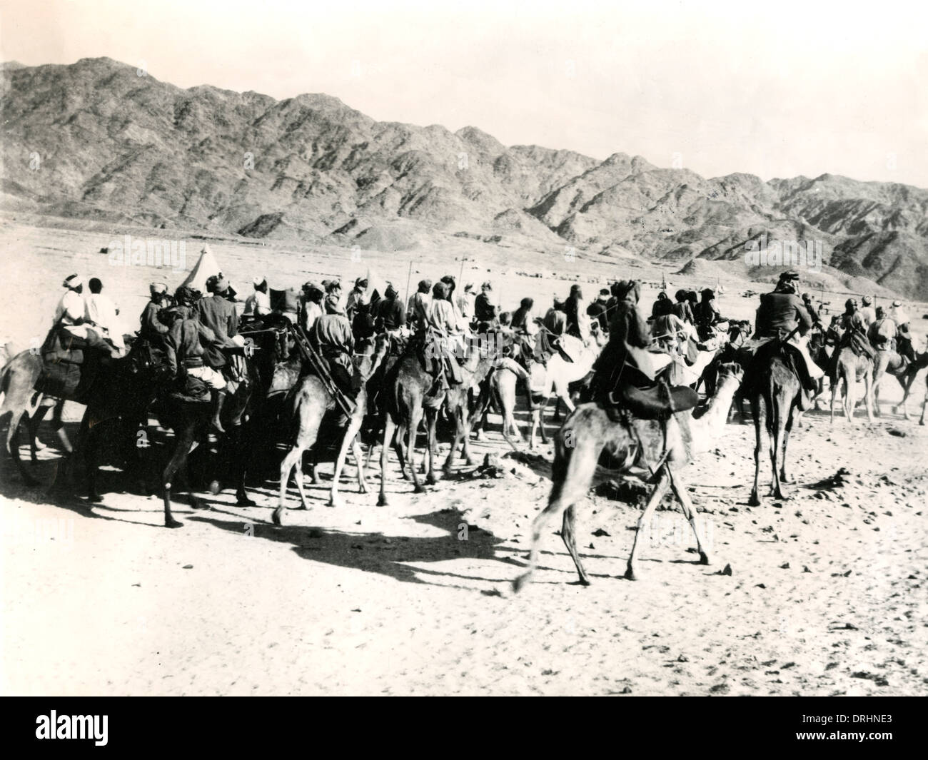 Kamele und Reiter, Mesopotamien, WW1 Stockfoto