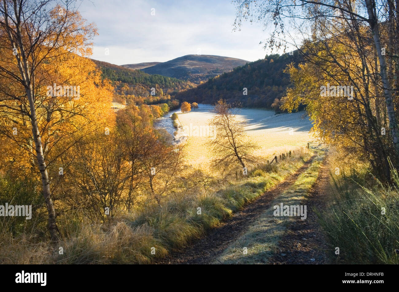 Glen Gairn an einem frostigen Herbstmorgen, in der Nähe von Ballater, Deeside, Aberdeenshire, Schottland. Stockfoto