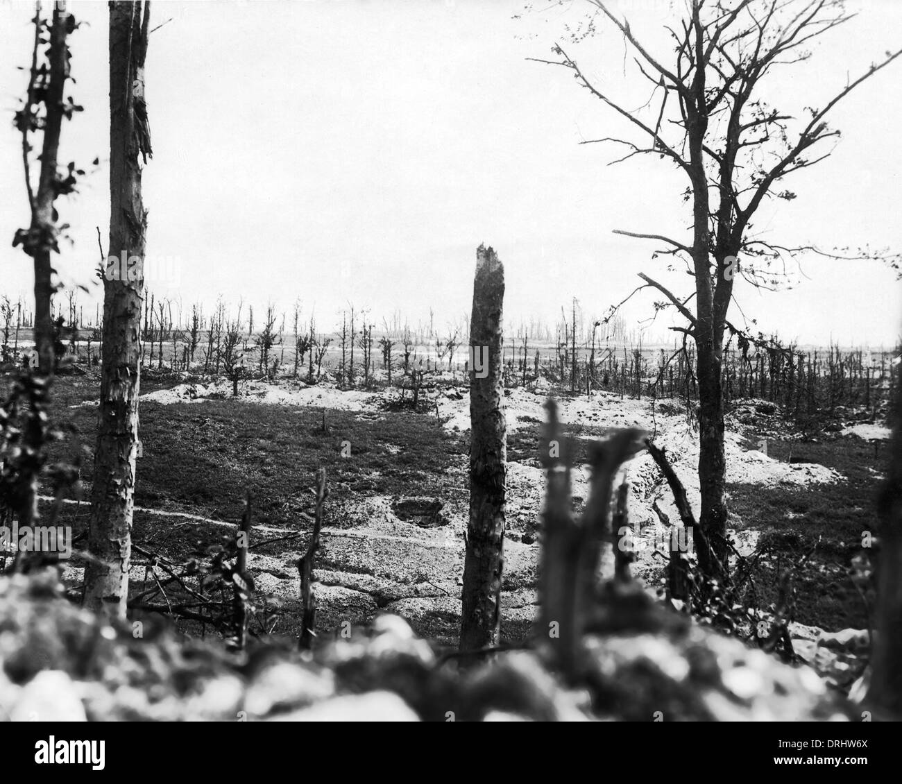 Ansicht von Thiepval von Thiepval Holz, Westfront, WW1 Stockfoto