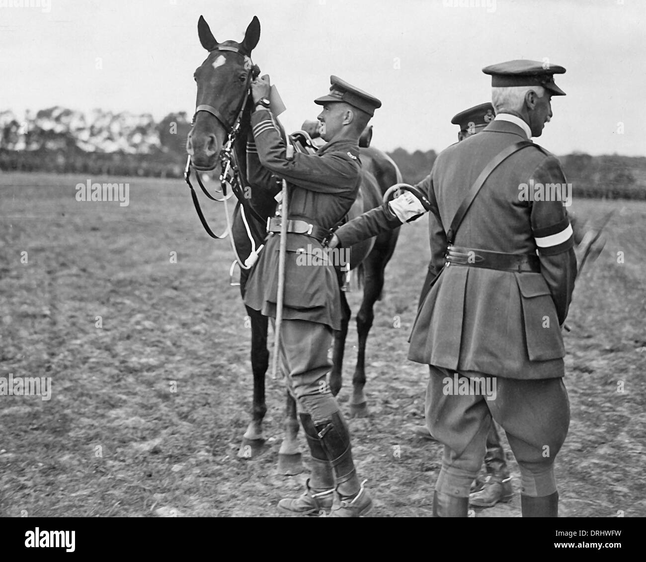 New Zealand Division Pferdevorführung, Westfront, WW1 Stockfoto