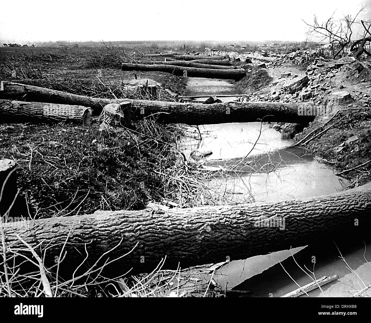 Baumstämme von deutschen, Westfront, WW1 geschnitten Stockfoto