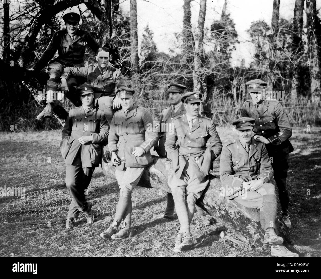 Britische Offiziere, ruhen Sie sich nach Arras, Westfront, WW1 Stockfoto